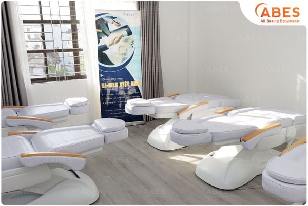 Giường chỉnh điện cao cấp tay gỗ Hi-MEC HMBB-8030