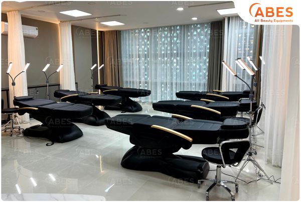 Giường chỉnh điện cao cấp tay gỗ Hi-MEC HMBB-8030