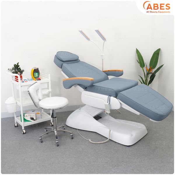 Giường chỉnh điện cao cấp tay gỗ Hi-MEC HMBB-8030