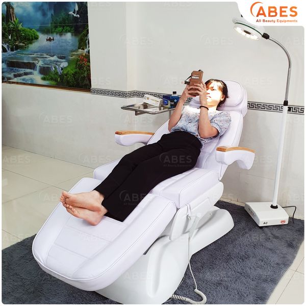 Giường chỉnh điện cao cấp tay gỗ Hi-MEC HMBB-8030