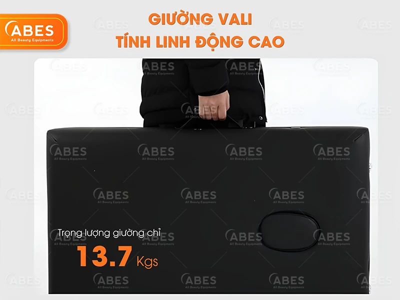 Giường Vali Hi-MEC HMBB-8105 | Giá Tốt Tại ABES