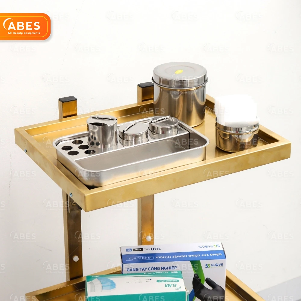 Xe đẩy y tế 2 tầng Hi-MEC HMTL-5090 với tiện ích đa năng