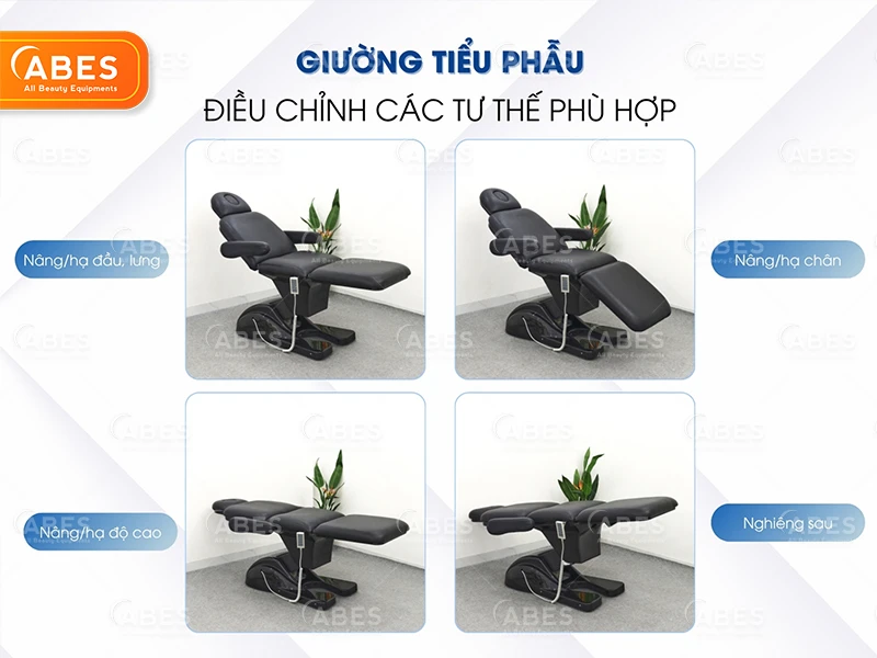 Danh Muc Giuong Tieu Phau Abes 2