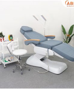 Giường chỉnh điện cao cấp tay gỗ Hi-MEC HMBB-8030