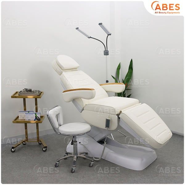 Giường Điện Spa Thẩm Mỹ Tay Gỗ Hi-MEC HMBB-C830