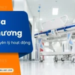 Băng Ca Cứu Thương Là Gì ? Cấu Tạo Và Nguyên Lý Hoạt Động Thiết Bị